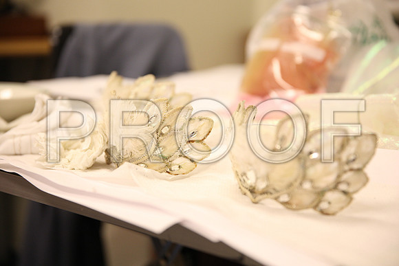 20150901_Fitting_Swan_Lake_Wardrobe_IMG_6233