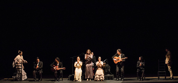 20170302_Stars_of_Flamenco_73A0169