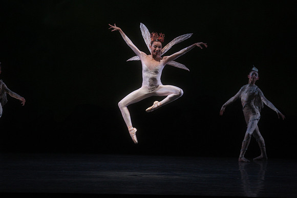 20160317_Midsummer_Night's_Dream_DR_Closeup_IMG_5444