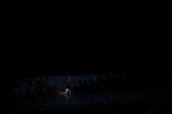 20151025_MCB_Swan_Lake_2Cast_Arsht_IMG_1496