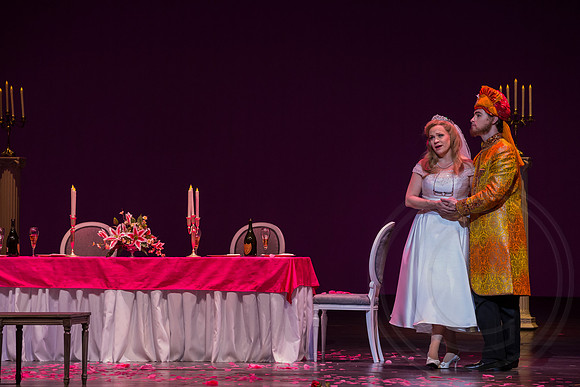 20150122_FGO_Cosi_fan_Tutte_9C7C8427