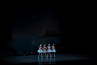 20151025_MCB_Swan_Lake_2Cast_Arsht_IMG_0023