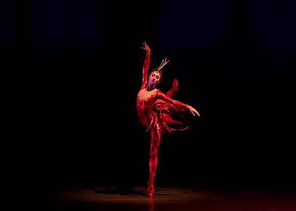 20200301_Firebird_Broward_2Cast_DSC07401