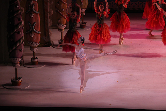 20141229_Nutcracker_WPB_Flowers__CG3P2158