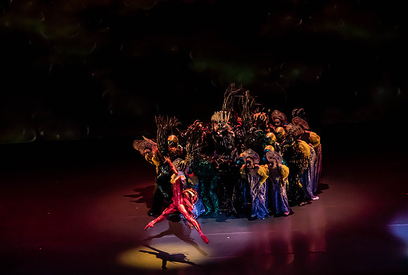 20200222_Firebird_Kravis_2Cast_DSC00100