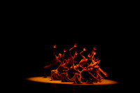20160220_Alvin_Ailey_Revelations_IMG_5971