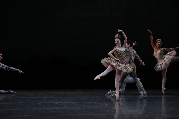 20160318_Midsummer_Night's_Dream_PR_Closeup_G3P0082
