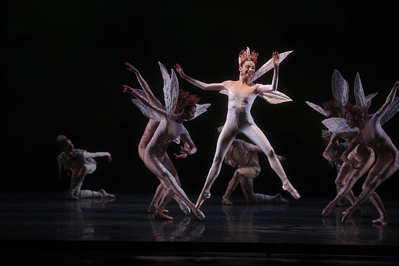 20160317_Midsummer_Night's_Dream_DR_Closeup_IMG_5453