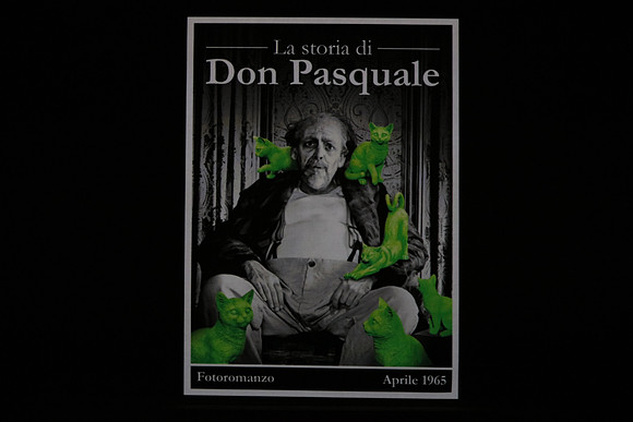 Don Pasquale Florida Grand Opera by Giovanni Ruffini and Gaetano Donizetti