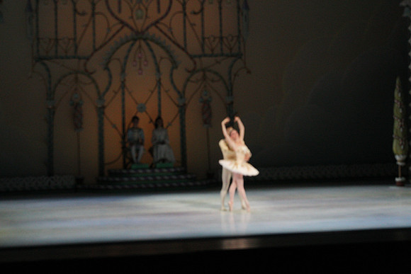 20141223_Nutcracker_ARTC_Pasdedeux_AL1B5768