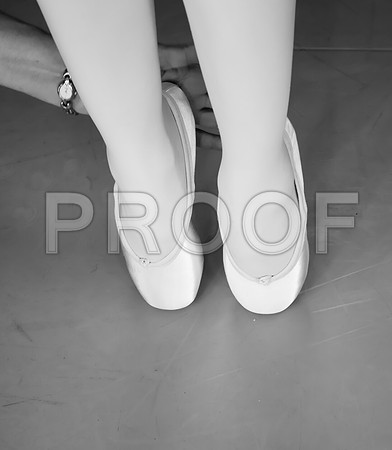 20110922_Miami_City_Ballet_173712_ZV4N1596