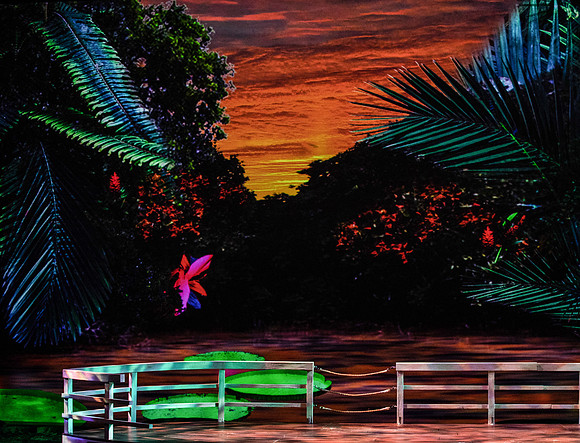 Florencia en el Amazonas Florida Grand Opera by Marcela Fuentes-Berain