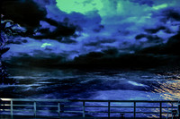 Florencia en el Amazonas Florida Grand Opera by Marcela Fuentes-Berain