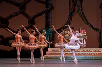 20221215_Nutcrackers_6PM_Dress_Rehersal_DSC0664.ARW