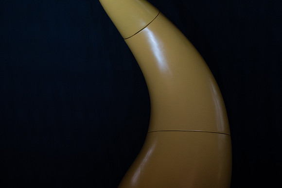 _DSC0505
