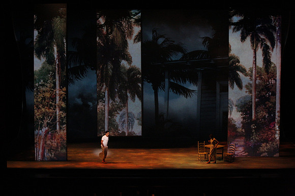 Before Night Falls Florida Grand Opera by Jorge Martin with Dolores M. Koch