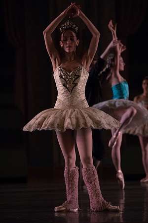 20180207_Theme_and_Variations_Backstage_73A0236