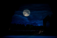 20240418_Swan_Lake_ACT_2_2_Cast_DSC5532.ARW