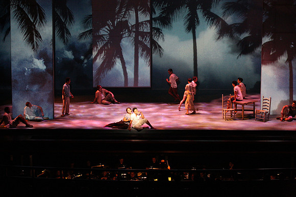 Before Night Falls Florida Grand Opera by Jorge Martin with Dolores M. Koch