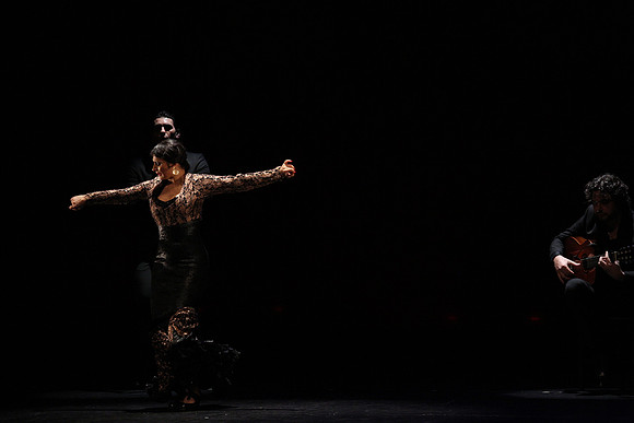 20140227_Flamenco_Festival_1_9C7C0141