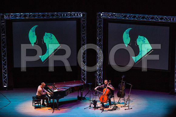 20150203_The_Piano_Guys_Arsht_9C7C1233