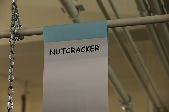 20132006_9C7C5029