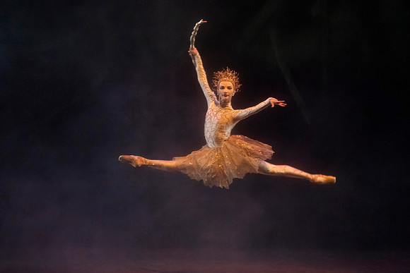 20241018_untitled20241018_Midsummer_2 Cast_MCB_Morning_5540