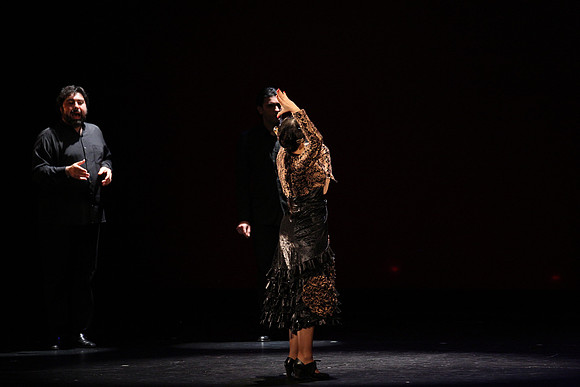 20140227_Flamenco_Festival_1_9C7C0101