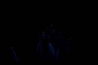 20240111_Les_Ballet_Trockadero__DSC2936
