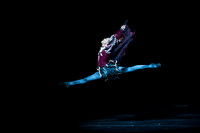 COLLECTION BALLET TRACKODERO PICKS 2015