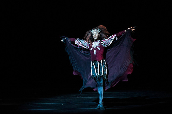 20150215_Les_Ballets_Trockadero_de_Monte_Carlo_CG3P4177
