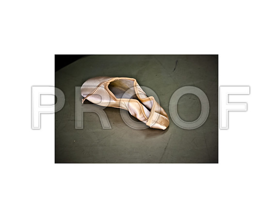 20110922_Miami_City_Ballet_181517_ZV4N1826