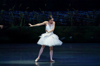 Swan_Lake_2_Cast_Jennifer_MCB_0016
