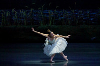 Swan_Lake_2_Cast_Jennifer_MCB_0013
