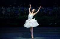 Swan_Lake_2_Cast_Jennifer_MCB_0004