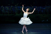 Swan_Lake_2_Cast_Jennifer_MCB_0005
