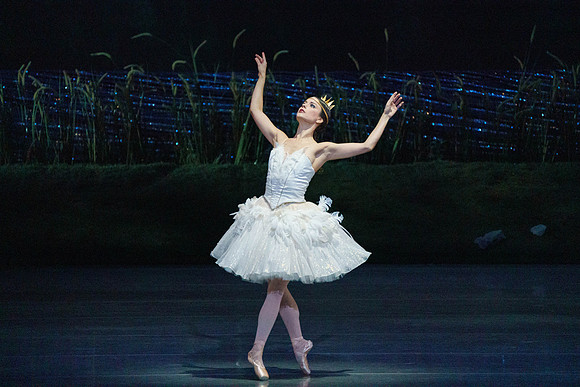 Swan_Lake_2_Cast_Jennifer_MCB_0005