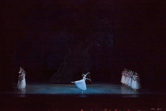 7064_DG_GISELLE_Broward_Preformance_Miami_City_Ballet_FL_IMG_4266