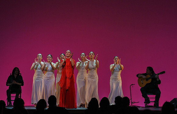 20210417_Siudy_ flamenco_archt_DSC9921