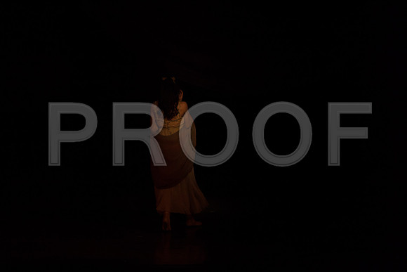 5029_DG_Miami_City_Ballet_Romeo_and_Juliet_Broward_center_2011_MG_7279