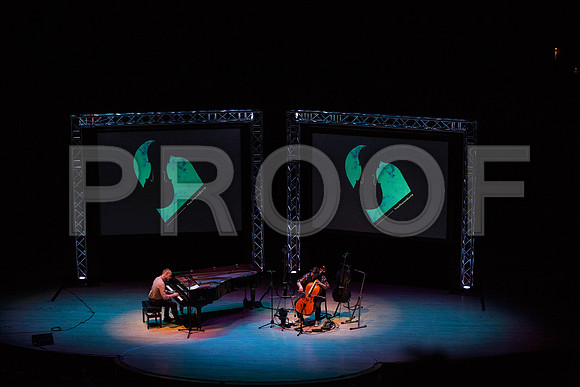 20150203_The_Piano_Guys_Arsht_9C7C1204