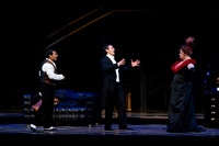 Die_Fledermaus_9995-2