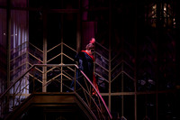 Die_Fledermaus_9997