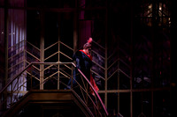 Die_Fledermaus_9998