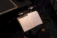 Die_Fledermaus_3584