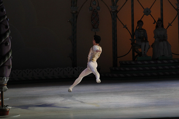 20132412__C7C0449