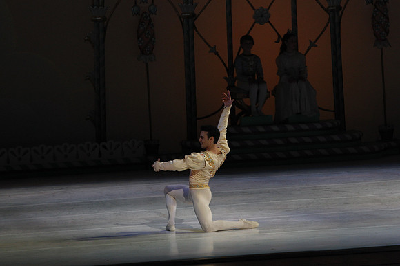 20132412__C7C0483