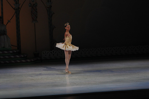 20132412__C7C0490