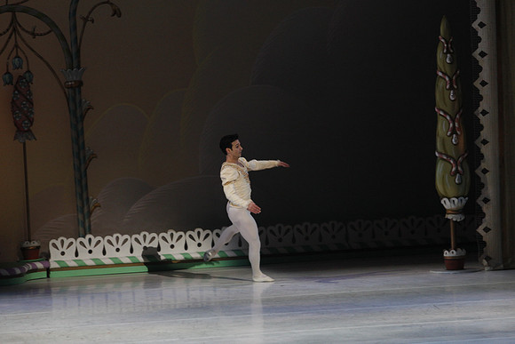 20132412__C7C0462