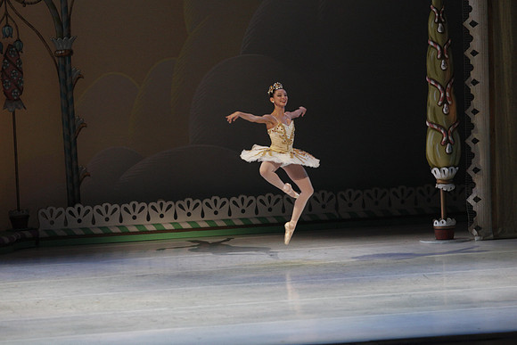 20132412__C7C0487